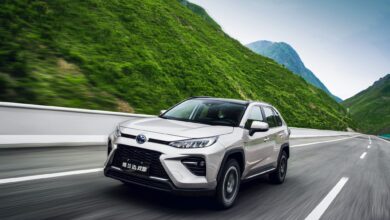 خرید و فروش قسطی ماشین وایلدلندر در سال 1404